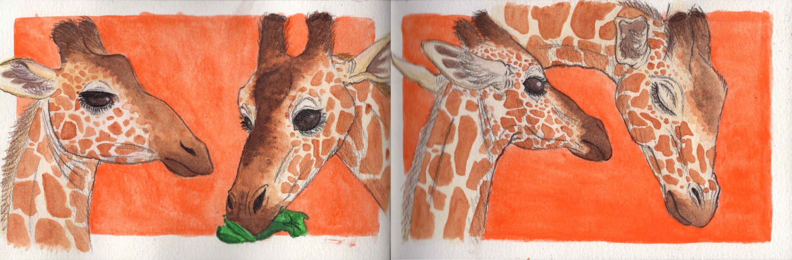 girafferesize
