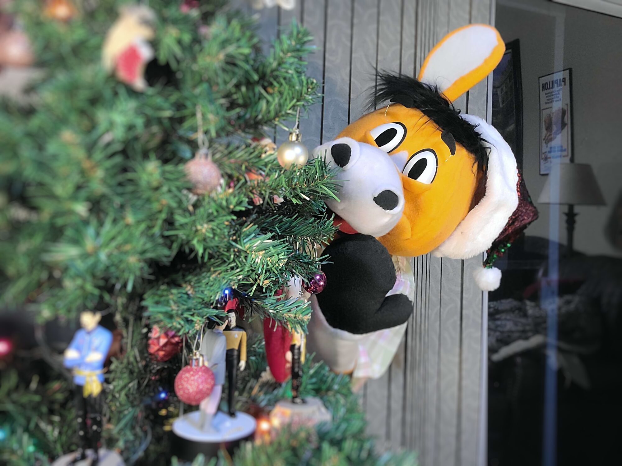 xmas2resize